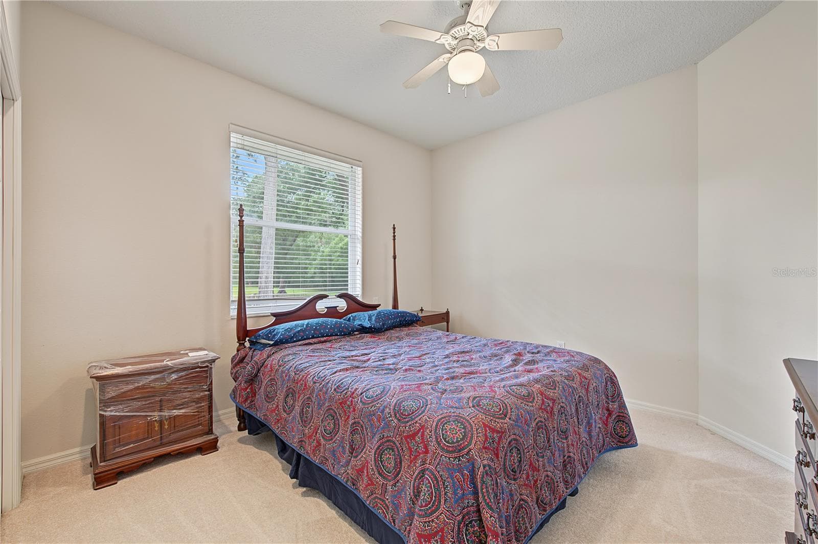 Guest Bedroom - 915 LAKE THOMAS LN, LUTZ