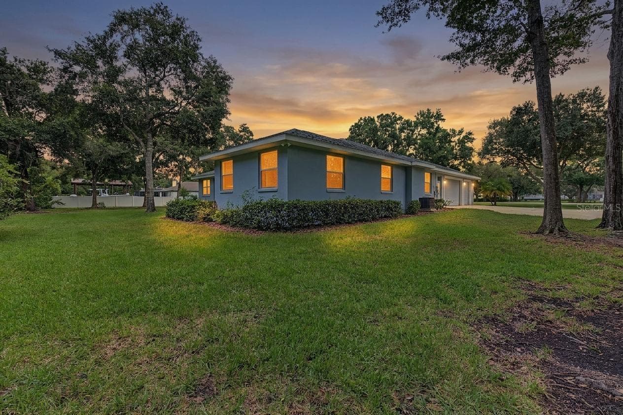 Rear and Side exterior - huge front and back yard - 915 LAKE THOMAS LN, LUTZ