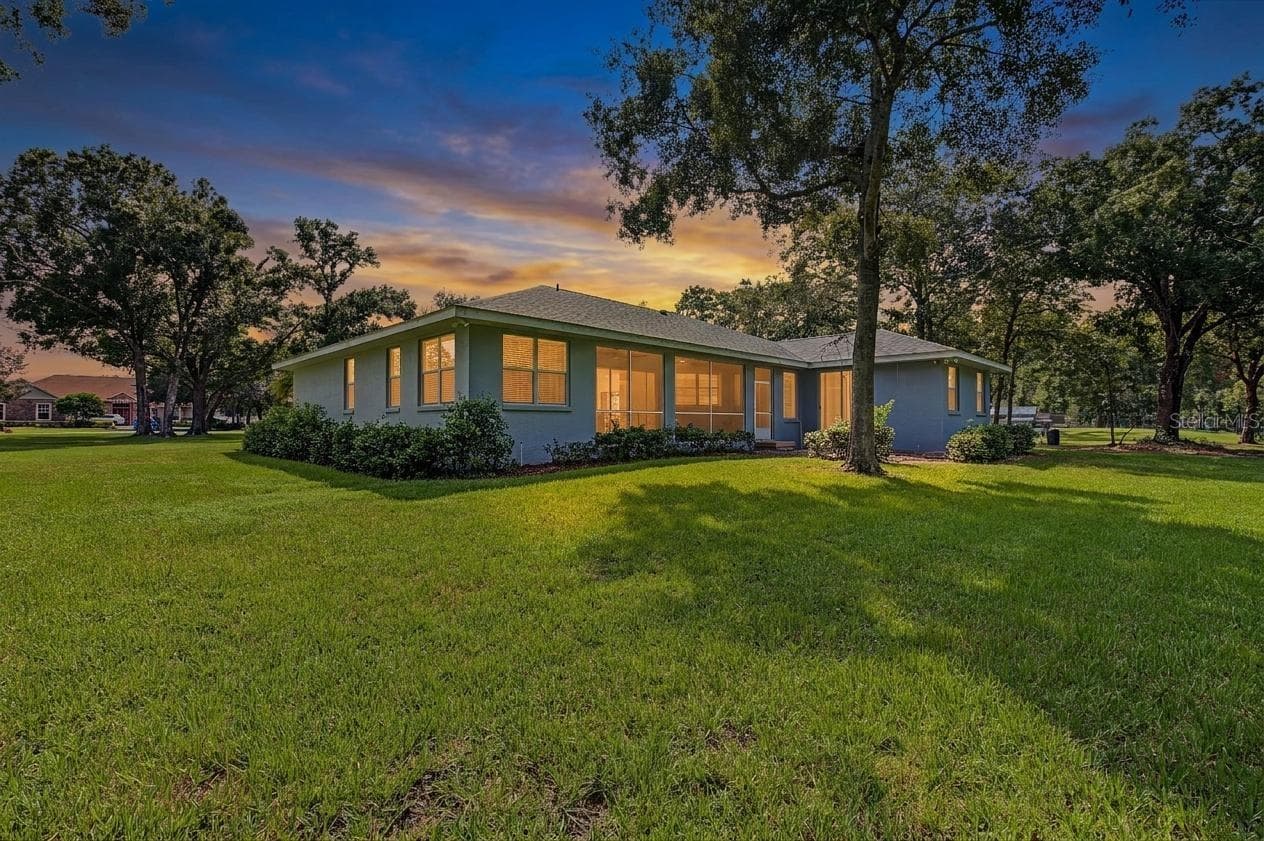 Rear Exterior - 915 LAKE THOMAS LN, LUTZ