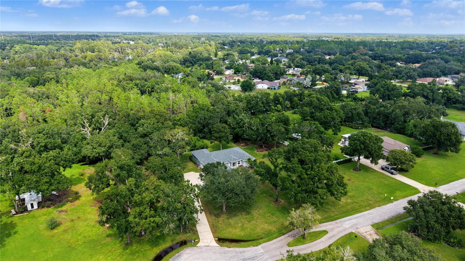 Single Family Residence at 915 LAKE THOMAS LN, LUTZ, photo 51 of 59