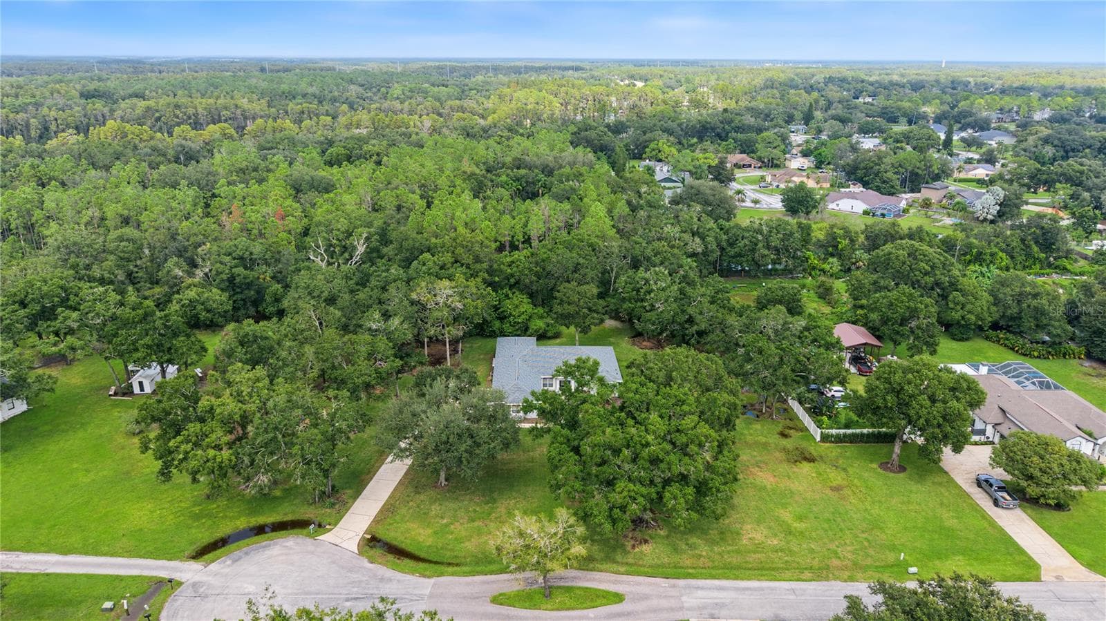 Single Family Residence at 915 LAKE THOMAS LN, LUTZ, photo 52 of 59