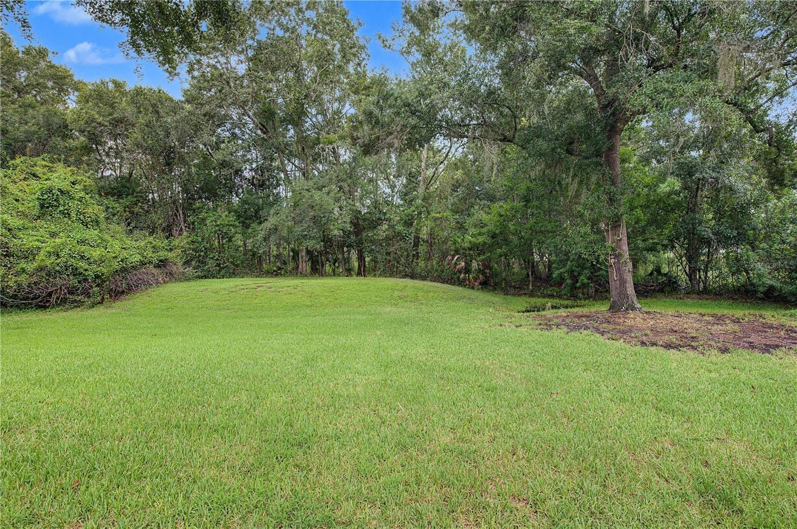 Back yard - 915 LAKE THOMAS LN, LUTZ