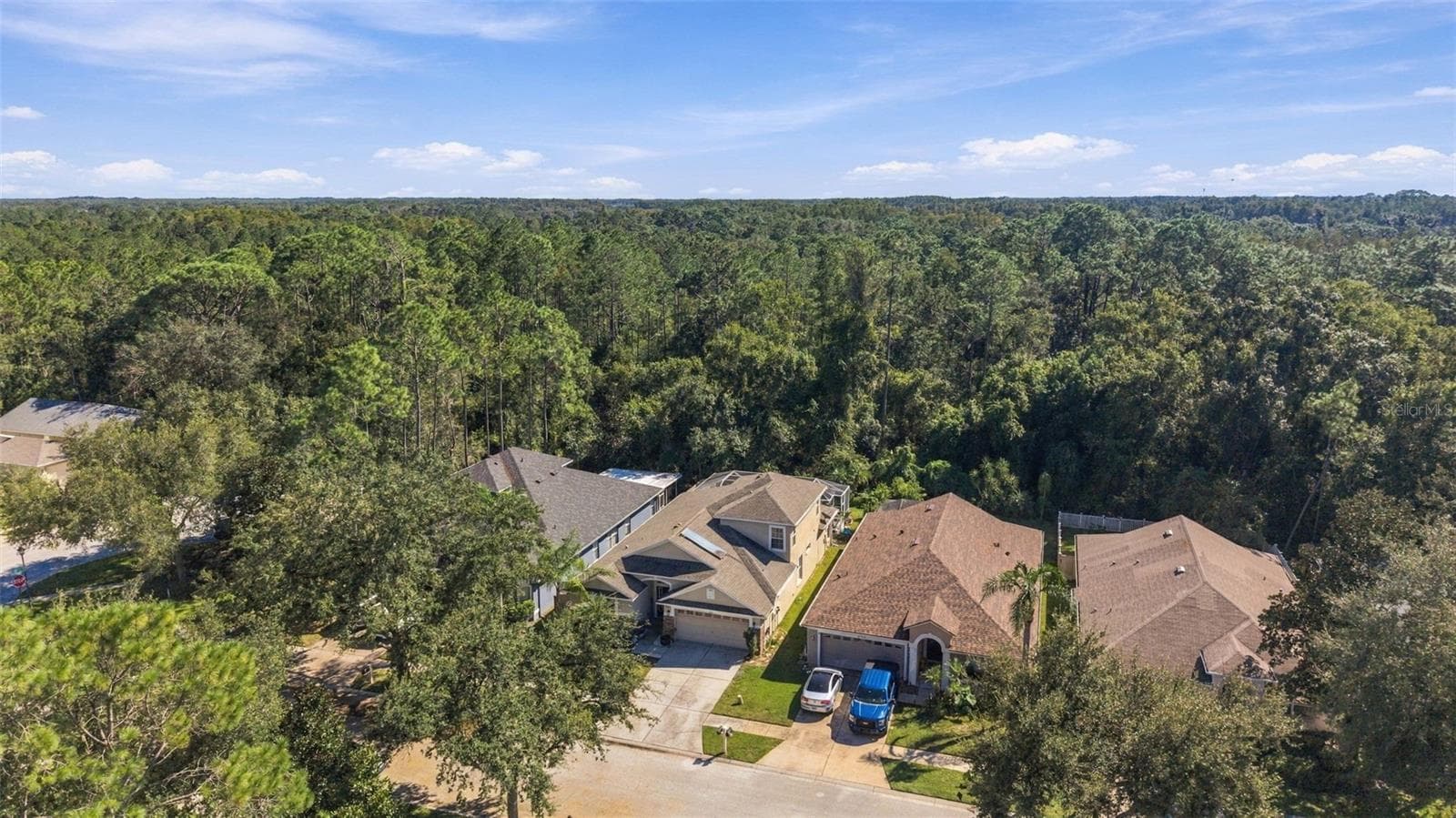Single Family Residence at 21916 WAVERLY SHORES LN, LAND O LAKES, photo 57 of 78