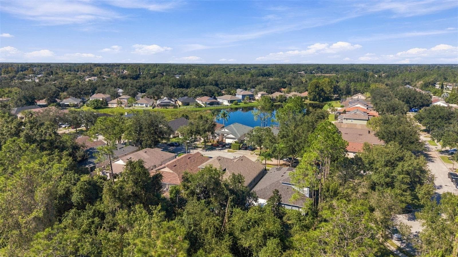 Single Family Residence at 21916 WAVERLY SHORES LN, LAND O LAKES, photo 59 of 78