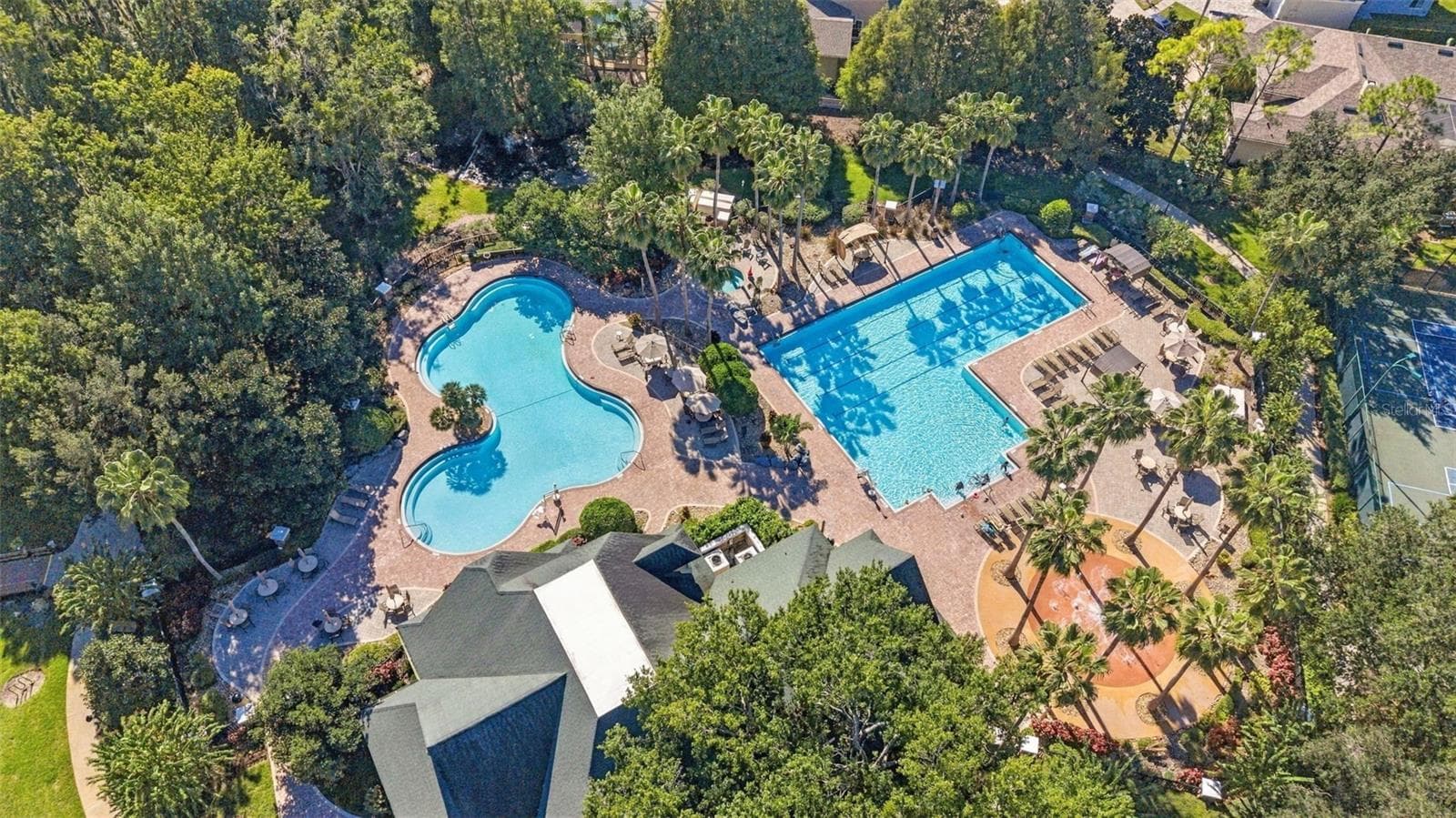 Resort style Pool - 21916 WAVERLY SHORES LN, LAND O LAKES