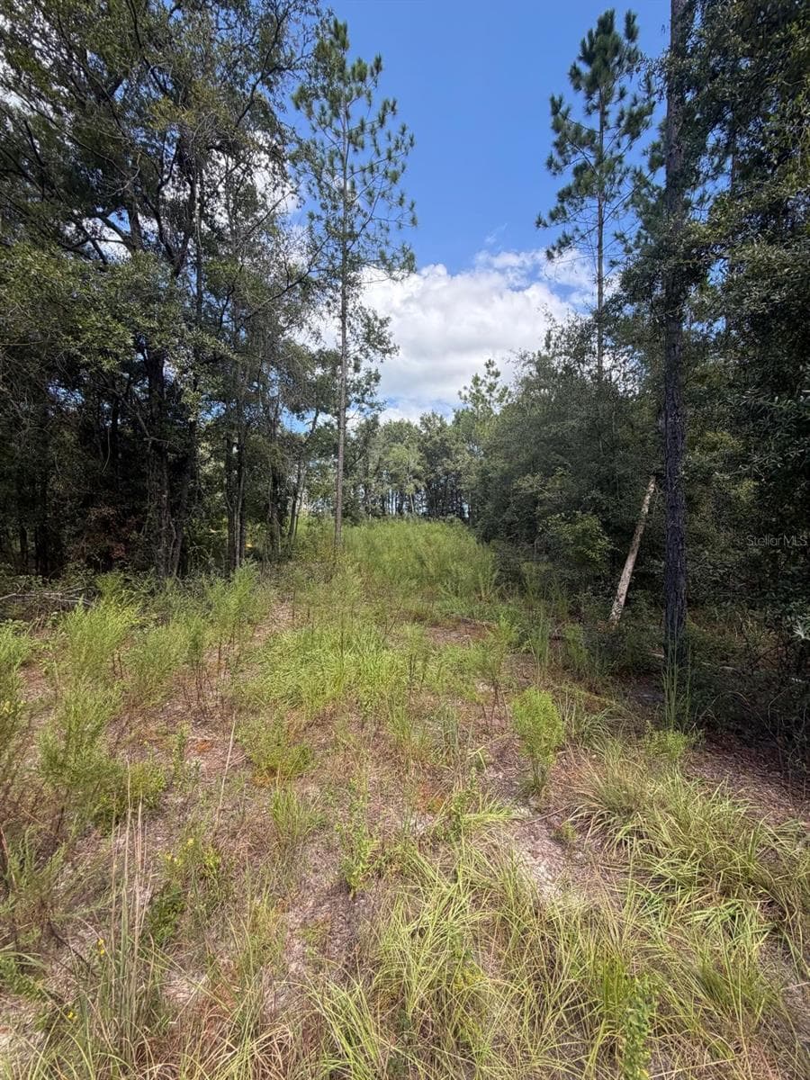 Land at FOXWOOD, FORT WHITE, photo 2 of 3