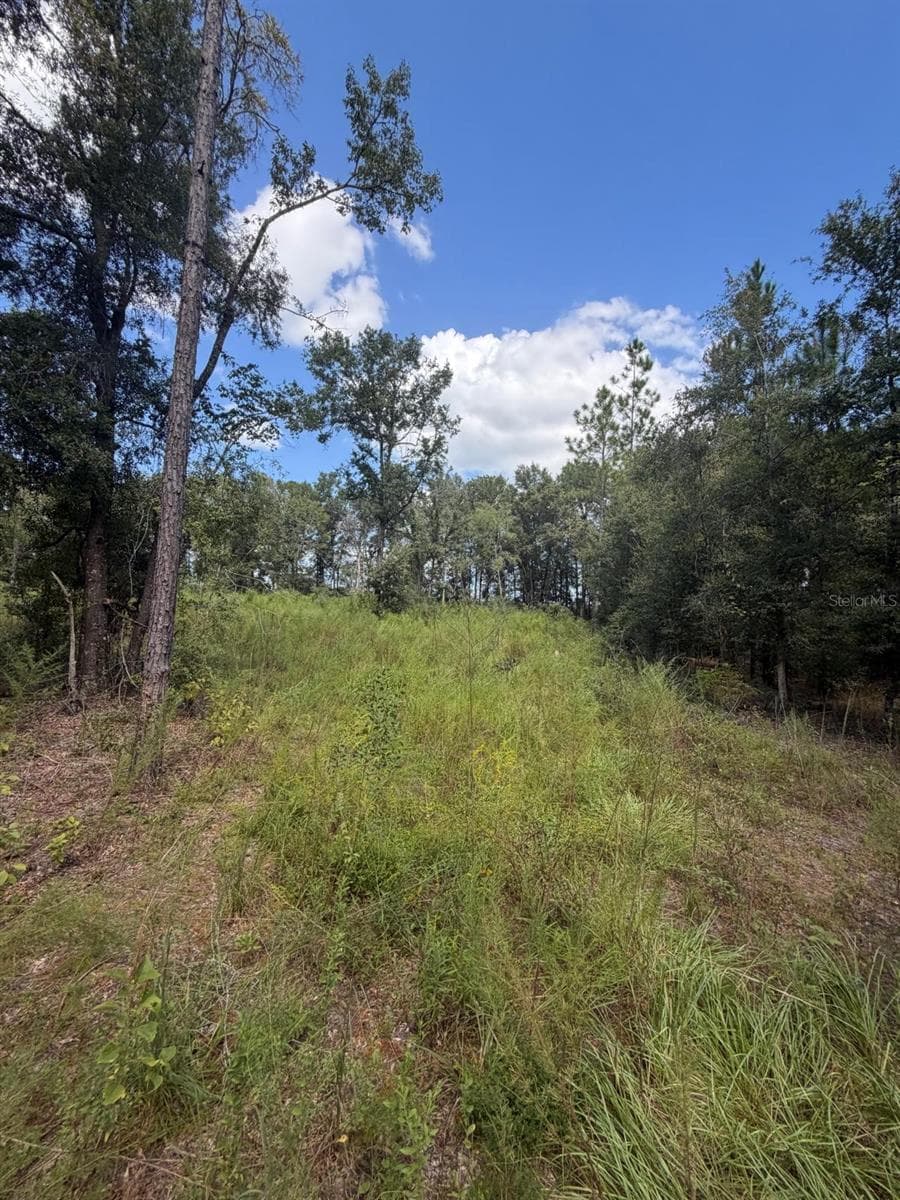 Land at FOXWOOD, FORT WHITE, photo 3 of 3