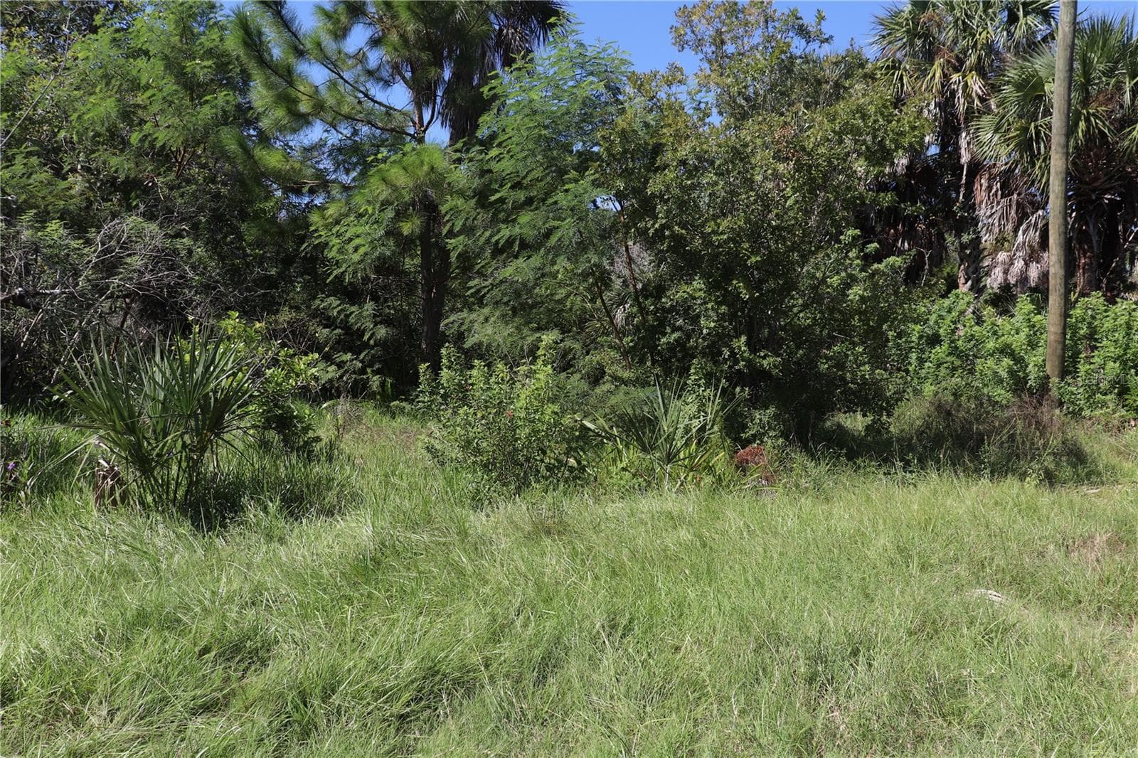 Land at 10501 PINE ISLAND DR, WEEKI WACHEE, photo 2 of 16
