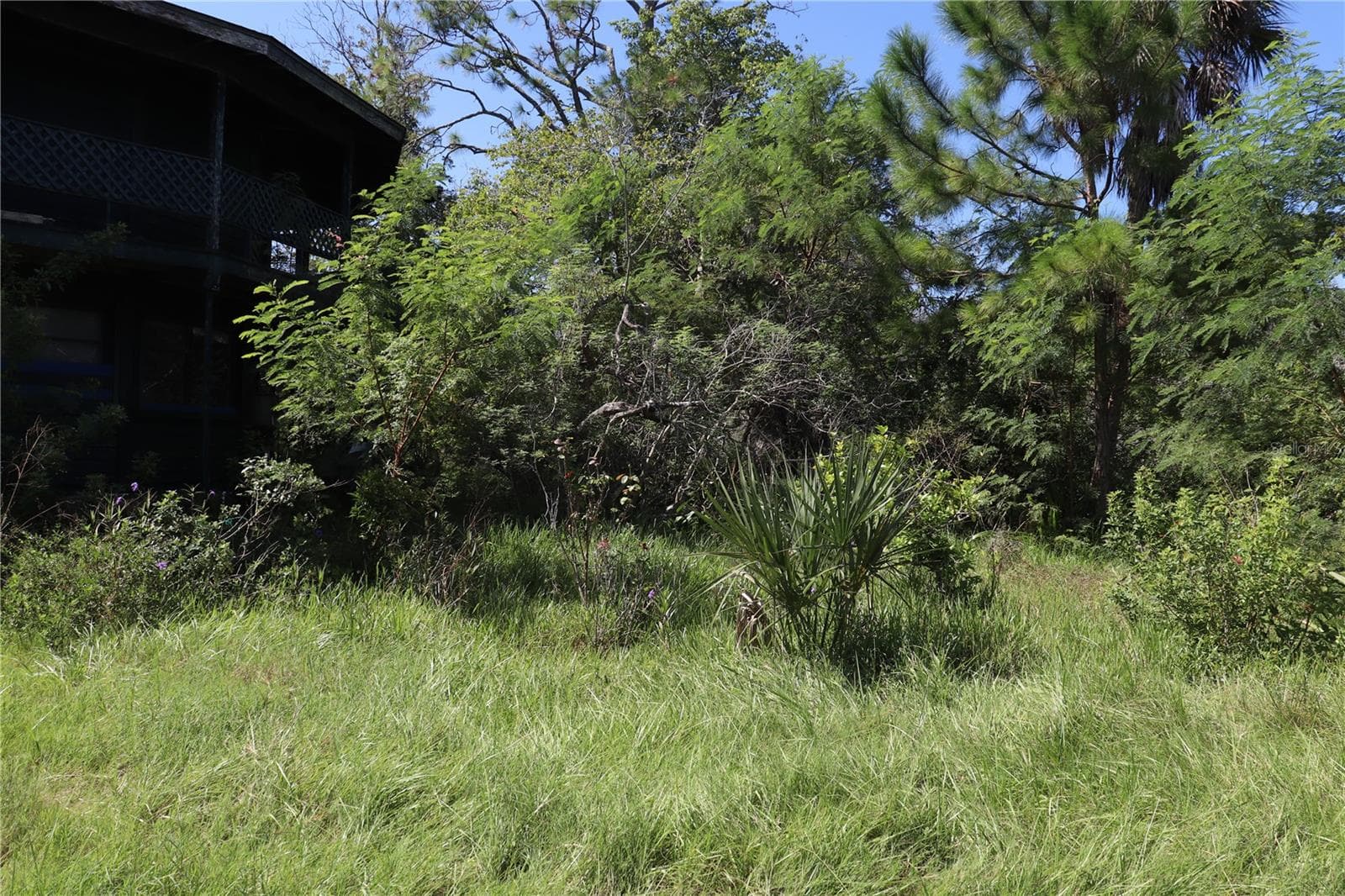 Land at 10501 PINE ISLAND DR, WEEKI WACHEE, photo 3 of 16