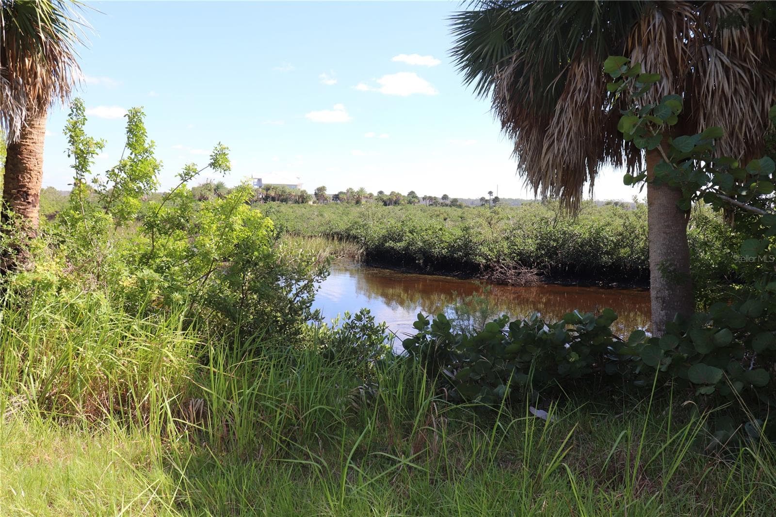 Land at 10501 PINE ISLAND DR, WEEKI WACHEE, photo 5 of 16