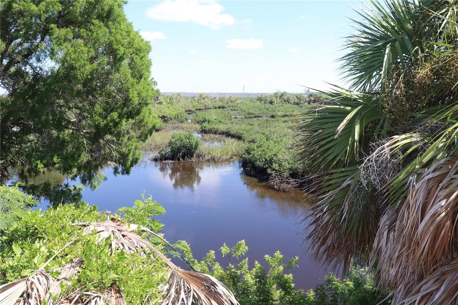 Land at 10501 PINE ISLAND DR, WEEKI WACHEE, photo 6 of 16