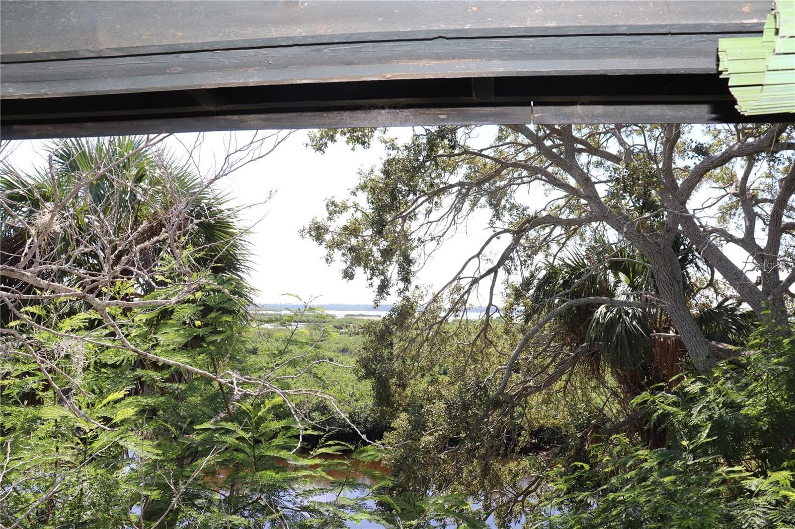 Land at 10501 PINE ISLAND DR, WEEKI WACHEE, photo 10 of 16