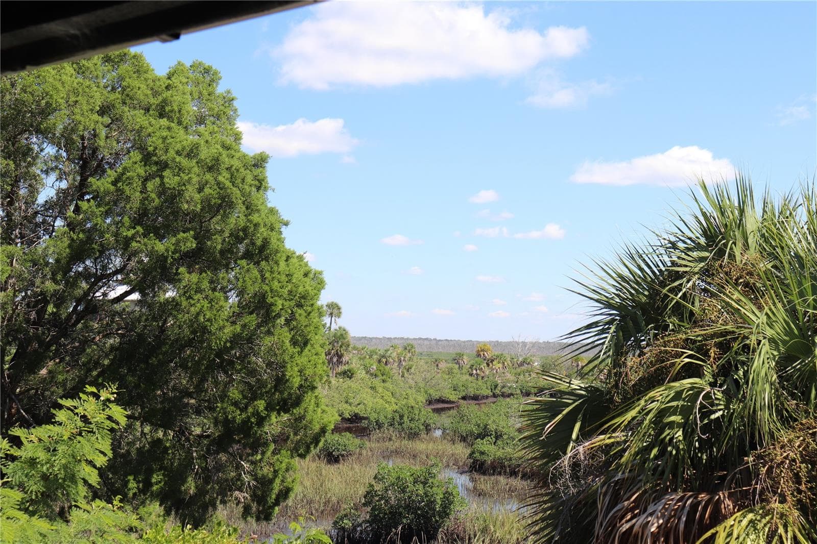 Land at 10501 PINE ISLAND DR, WEEKI WACHEE, photo 11 of 16