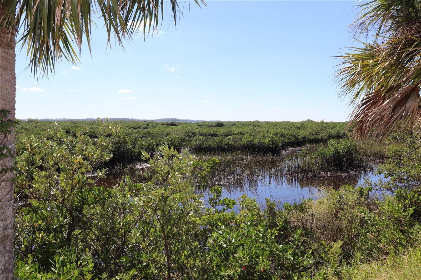 Land at 10501 PINE ISLAND DR, WEEKI WACHEE, photo 16 of 16