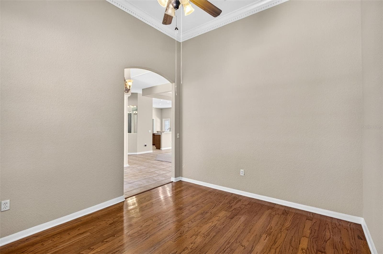 Single Family Residence at 725 CITRUS WOOD LN, VALRICO, photo 6 of 74