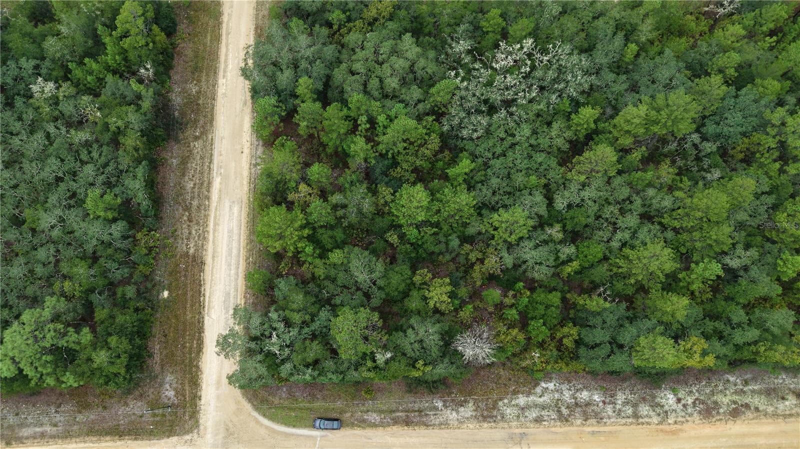 Land at N/A SELMA AVE, INTERLACHEN, photo 21 of 21