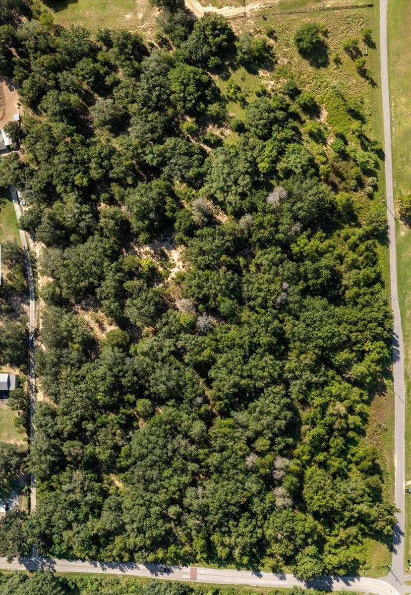 Land at 17701 SEIDNER RD, WINTER GARDEN, photo 20 of 39