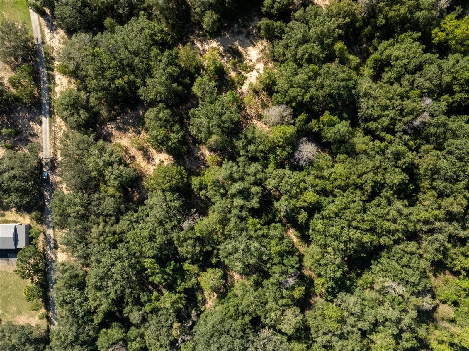 Land at 17701 SEIDNER RD, WINTER GARDEN, photo 29 of 39