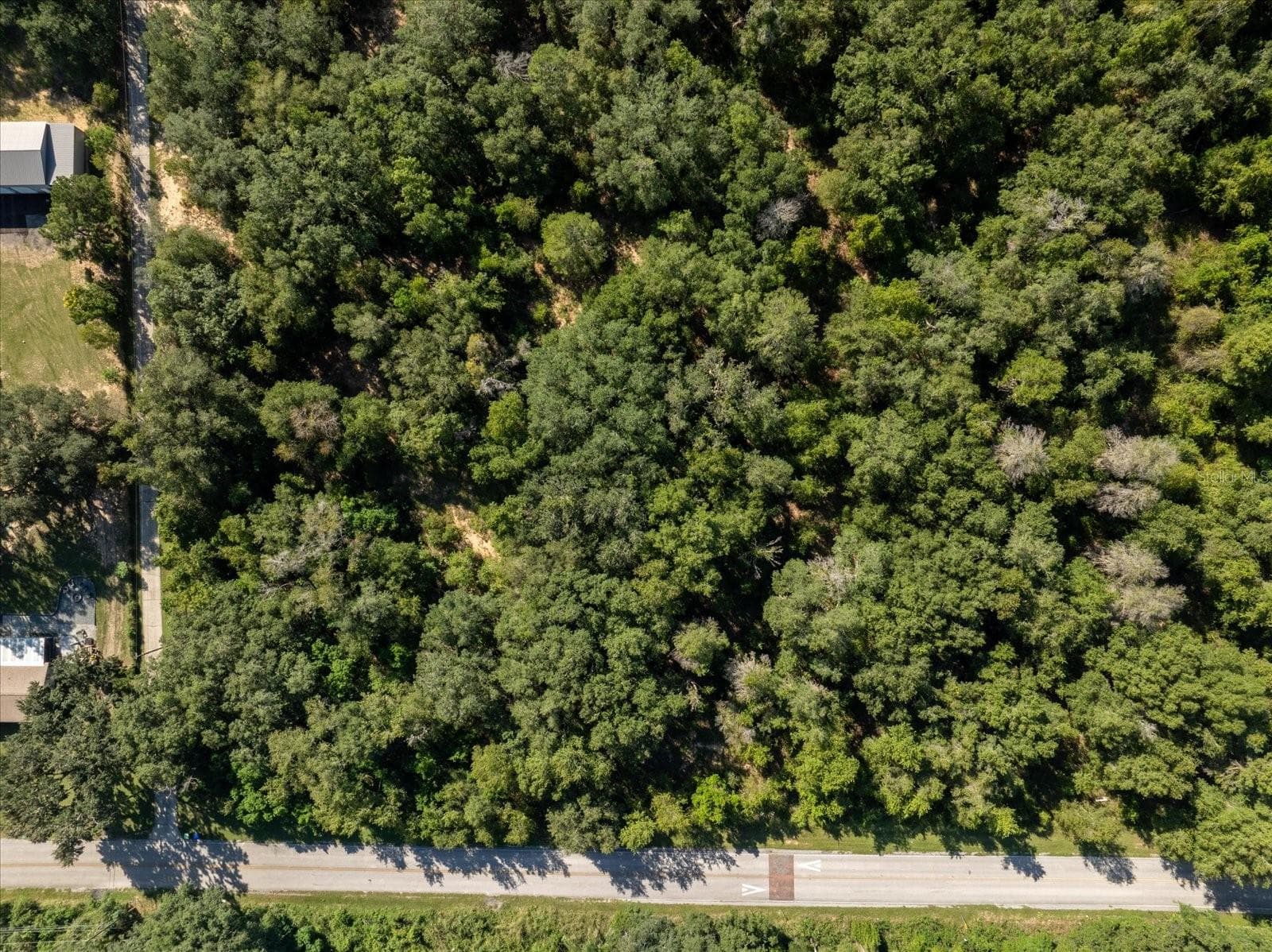 Land at 17701 SEIDNER RD, WINTER GARDEN, photo 31 of 39
