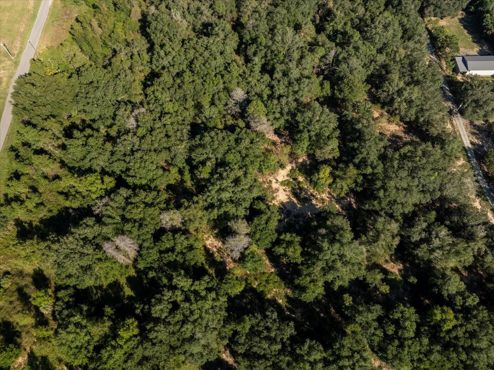 Land at 17701 SEIDNER RD, WINTER GARDEN, photo 38 of 39