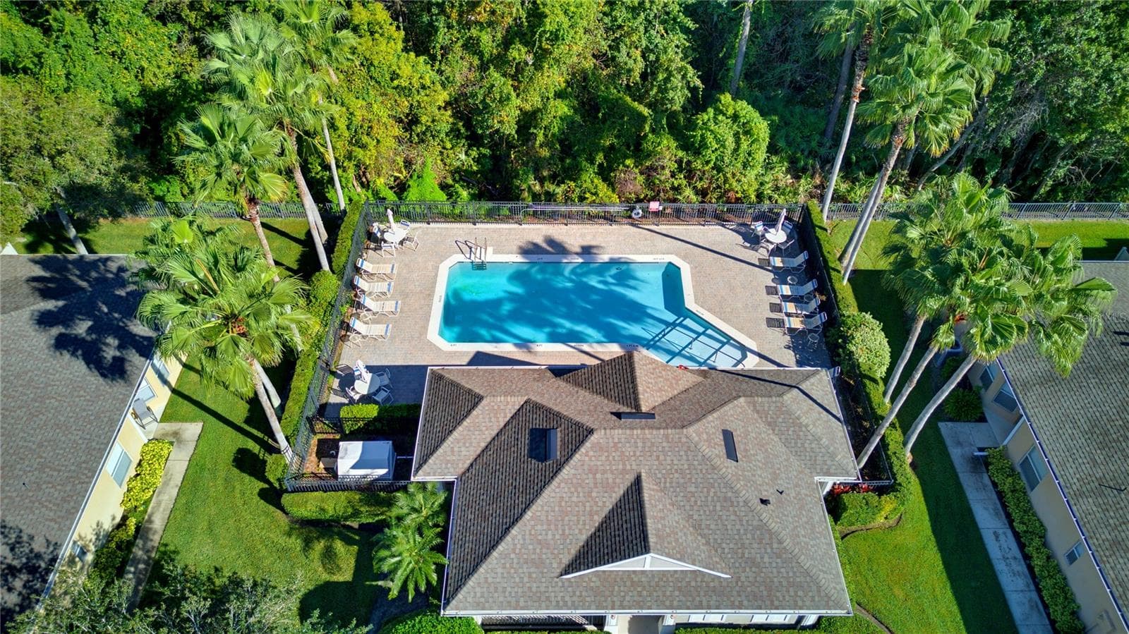 Common Community Pool - 491 HARBOR WINDS CT, WINTER SPRINGS