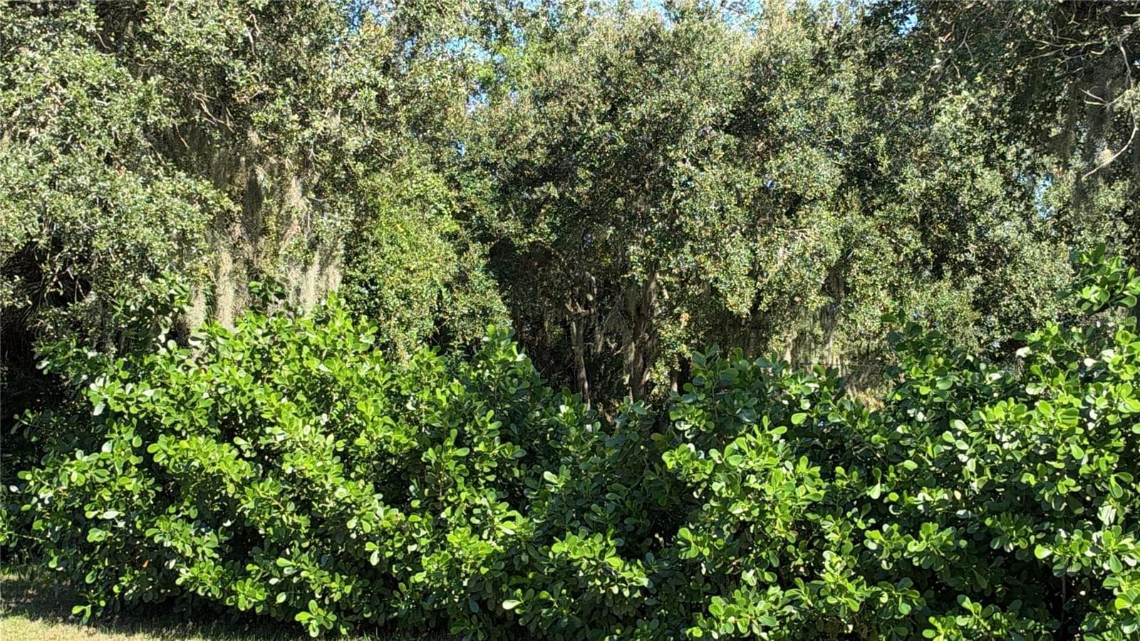 Land at ALIBI TER, NORTH PORT, photo 6 of 8