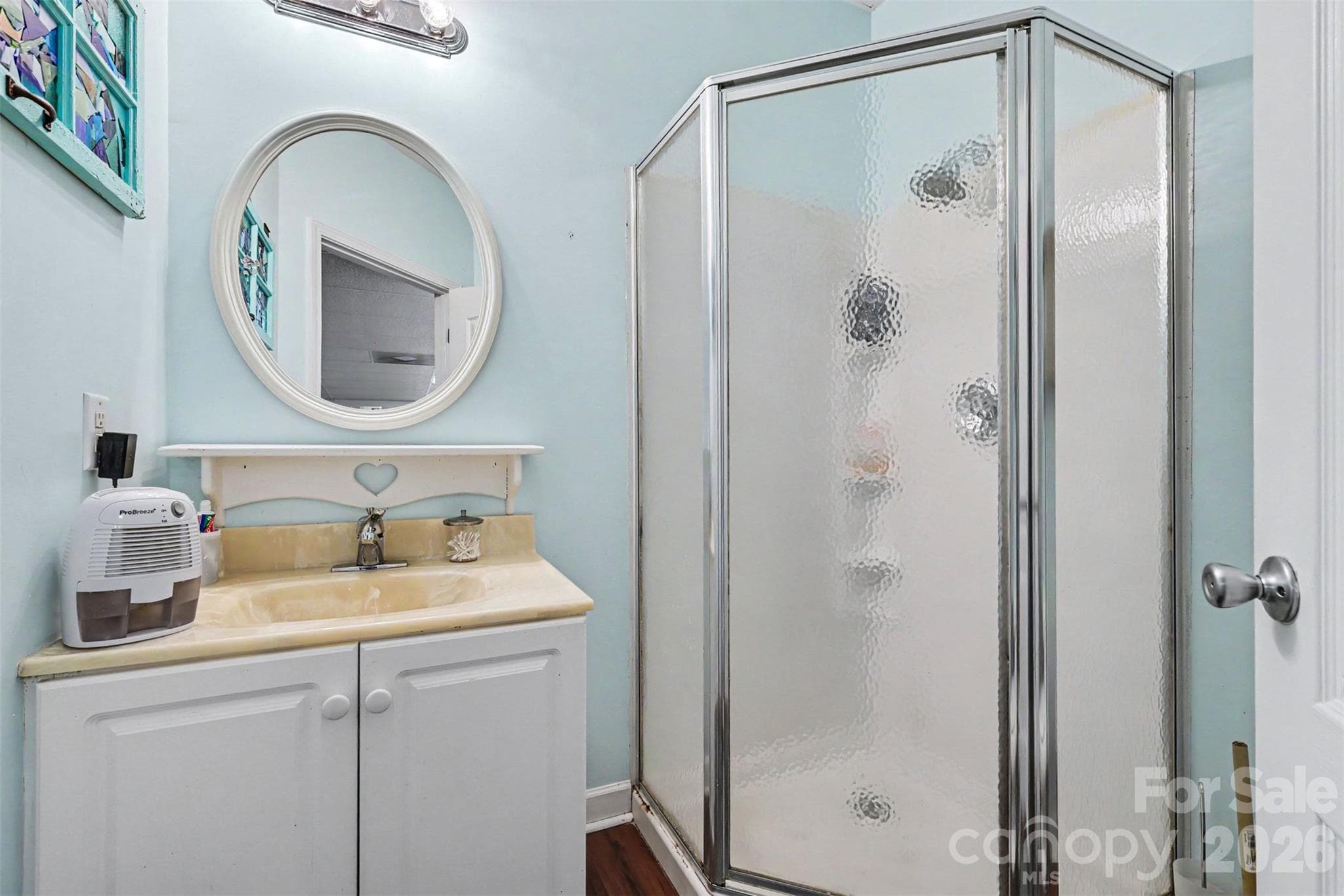 Basement full bath - 9133 Sunrise Meadow Road, Indian Land