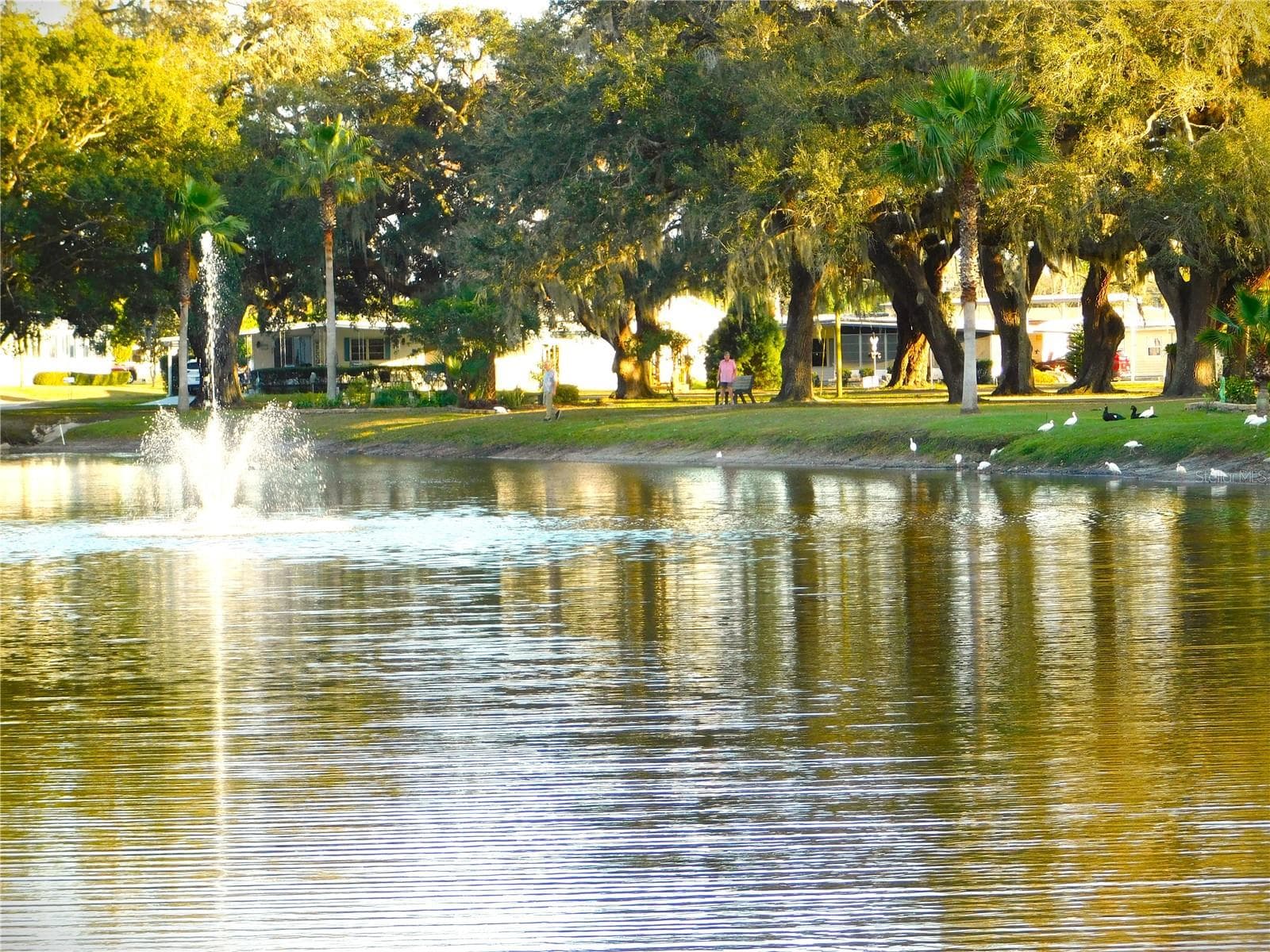 Manufactured Home at 5716 PAWNEE ST, ZEPHYRHILLS, photo 51 of 56