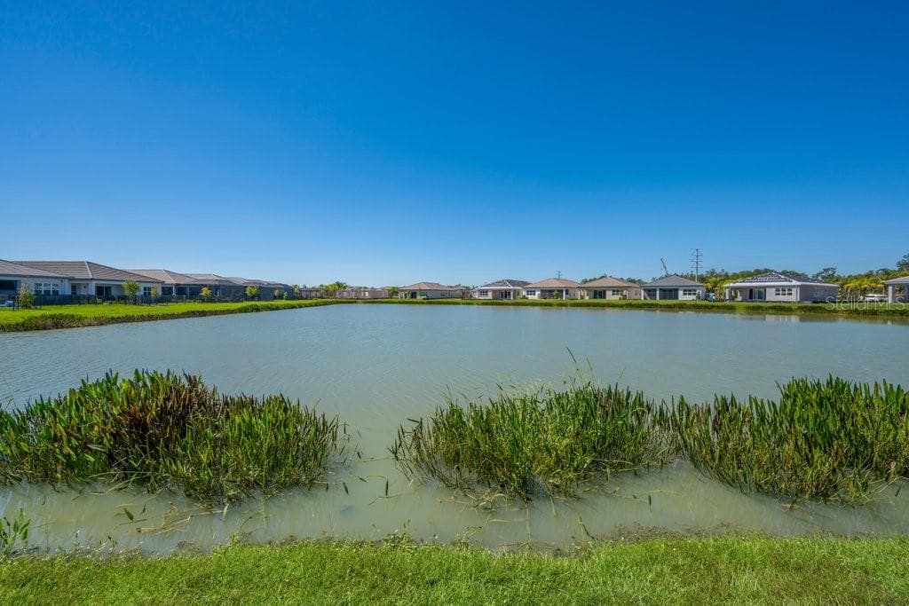 Single Family Residence at 32643 NEROLI ST, WESLEY CHAPEL, photo 33 of 46