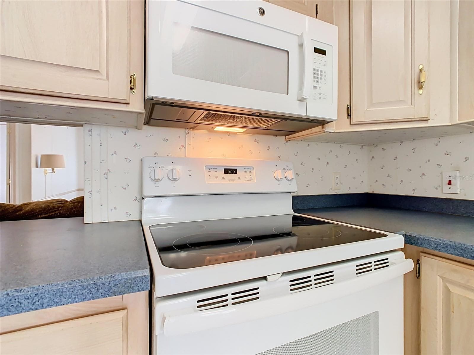 Kitchen - 123 SMALLMOUTH BASS ST, DAVENPORT