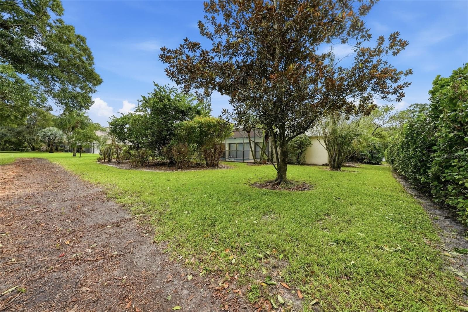 Single Family Residence at 1008 ROYAL BIRKDALE DR, TARPON SPRINGS, photo 52 of 62