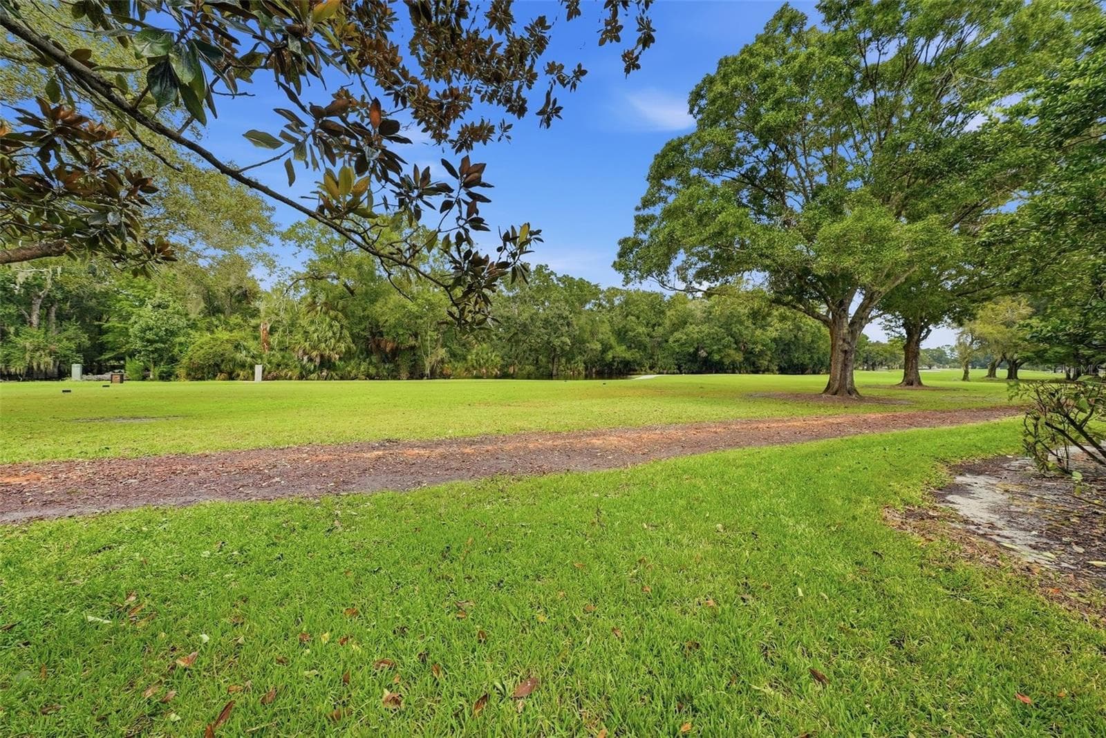 Single Family Residence at 1008 ROYAL BIRKDALE DR, TARPON SPRINGS, photo 53 of 62
