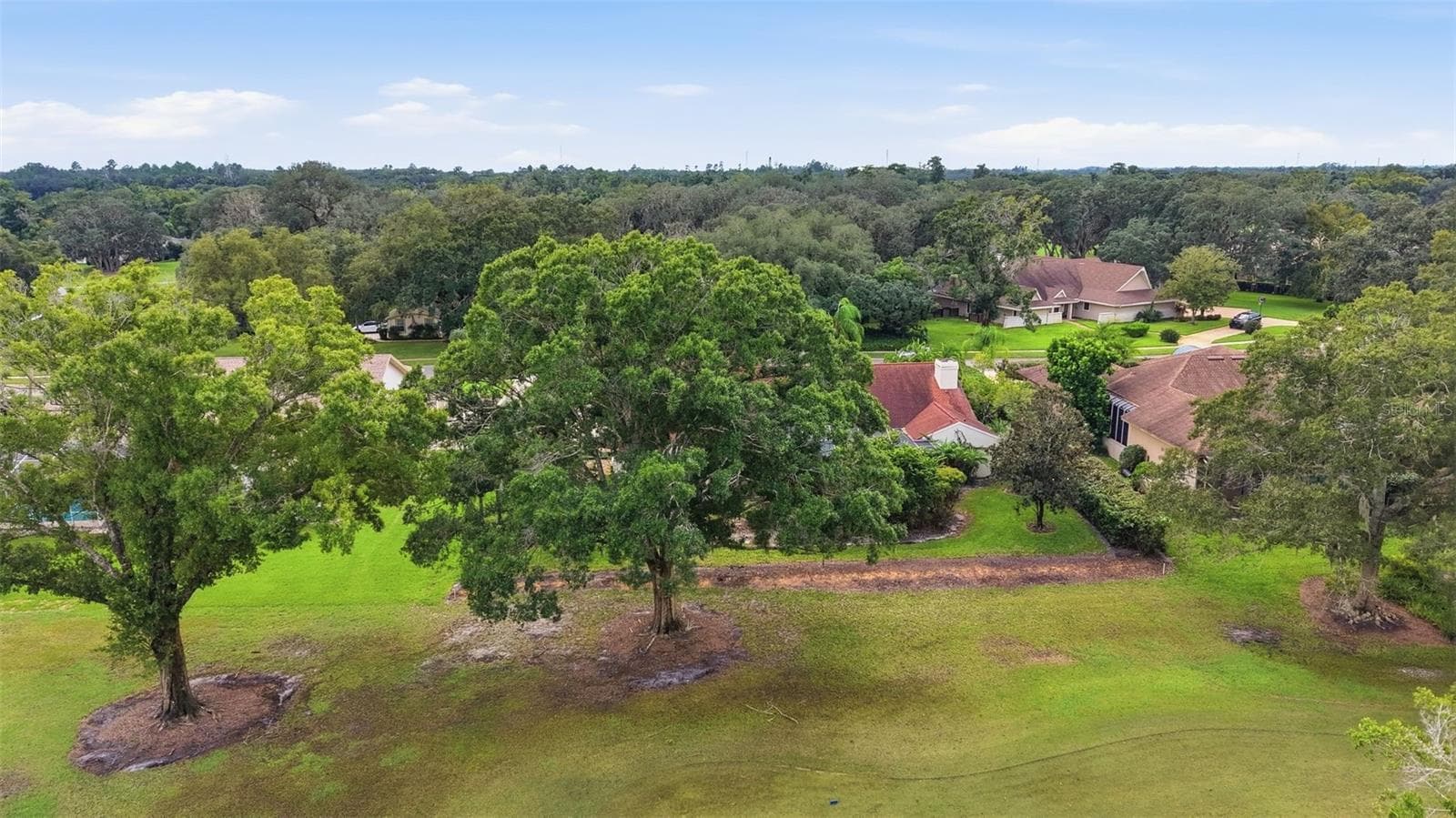 Single Family Residence at 1008 ROYAL BIRKDALE DR, TARPON SPRINGS, photo 57 of 62