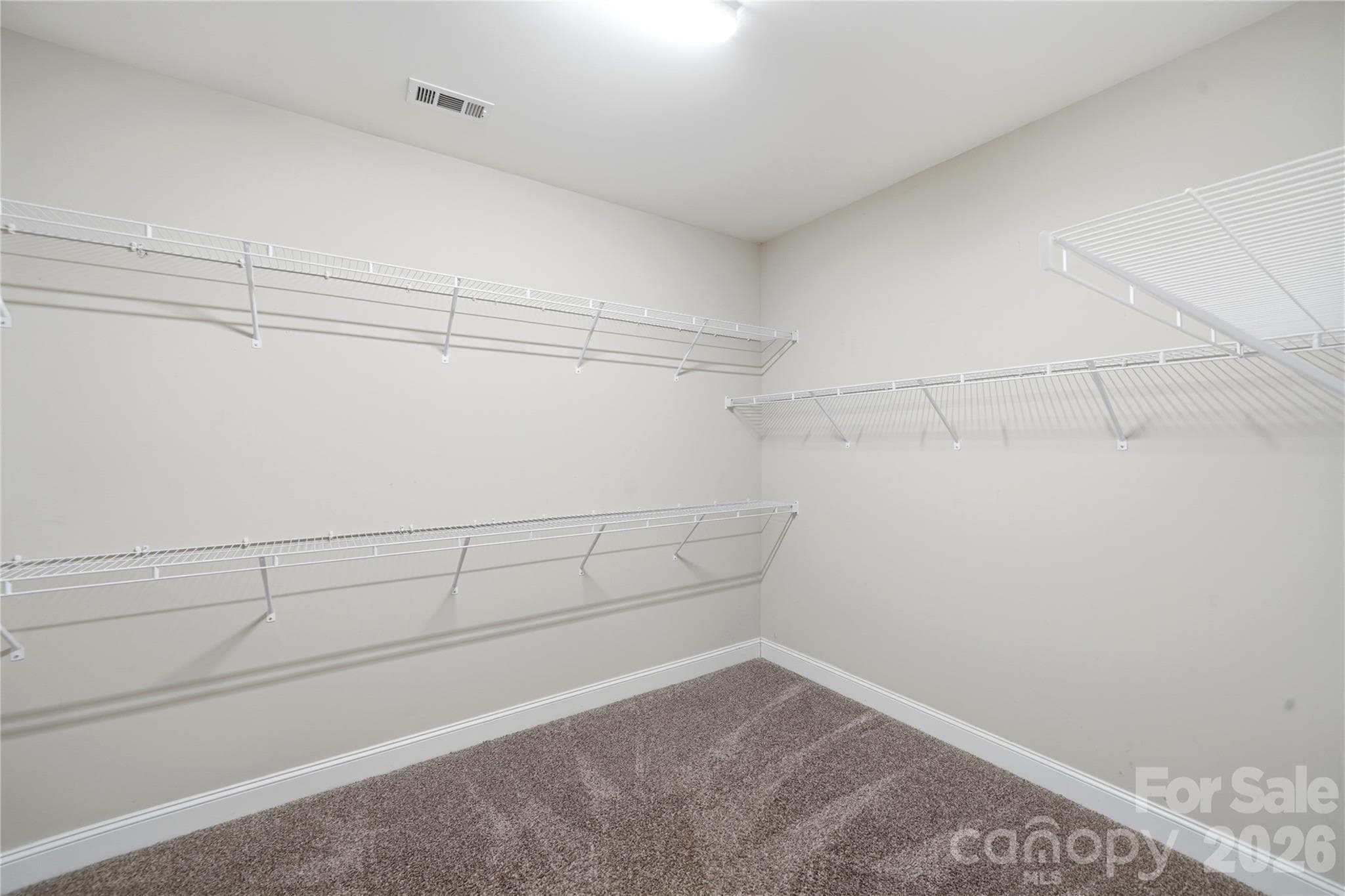 Large Primary Walk in Closet - 8719 Shadetree Street, Huntersville
