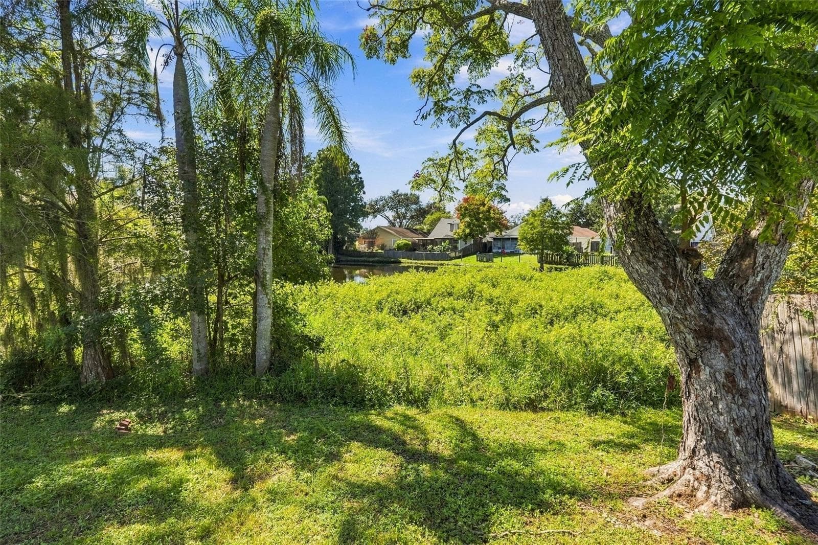 Single Family Residence at 11216 SHADYBROOK DR, TAMPA, photo 22 of 25