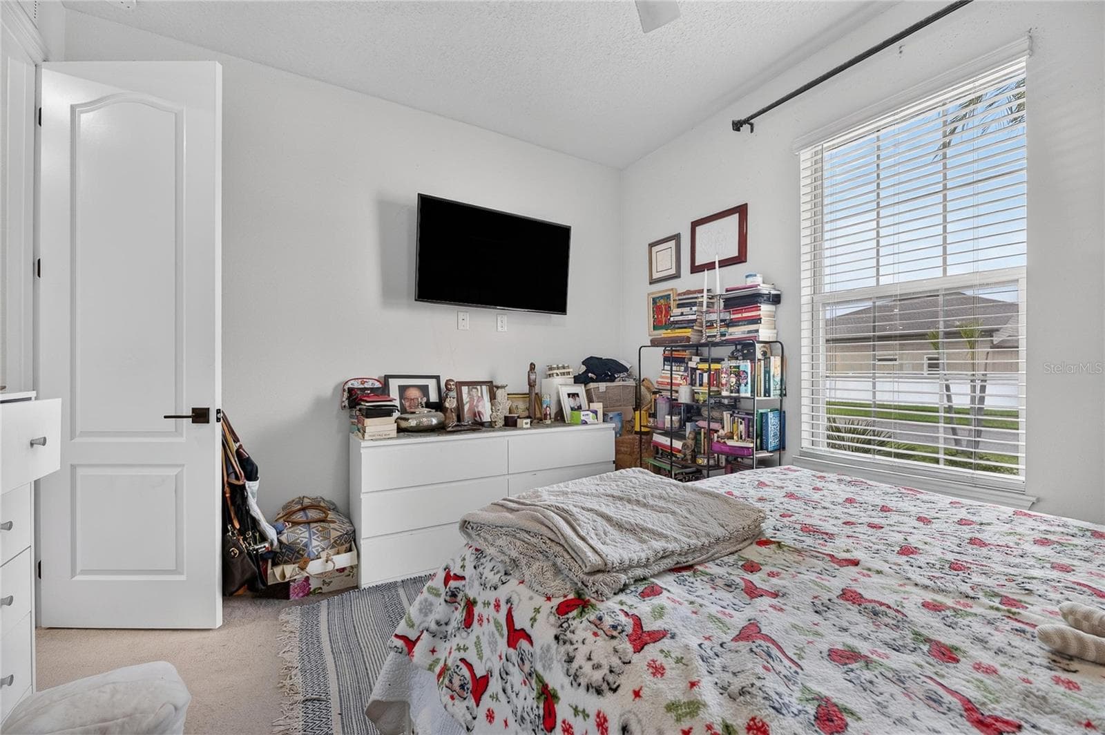 Single Family Residence at 11803 CLARE HILL AVE, RIVERVIEW, photo 56 of 93
