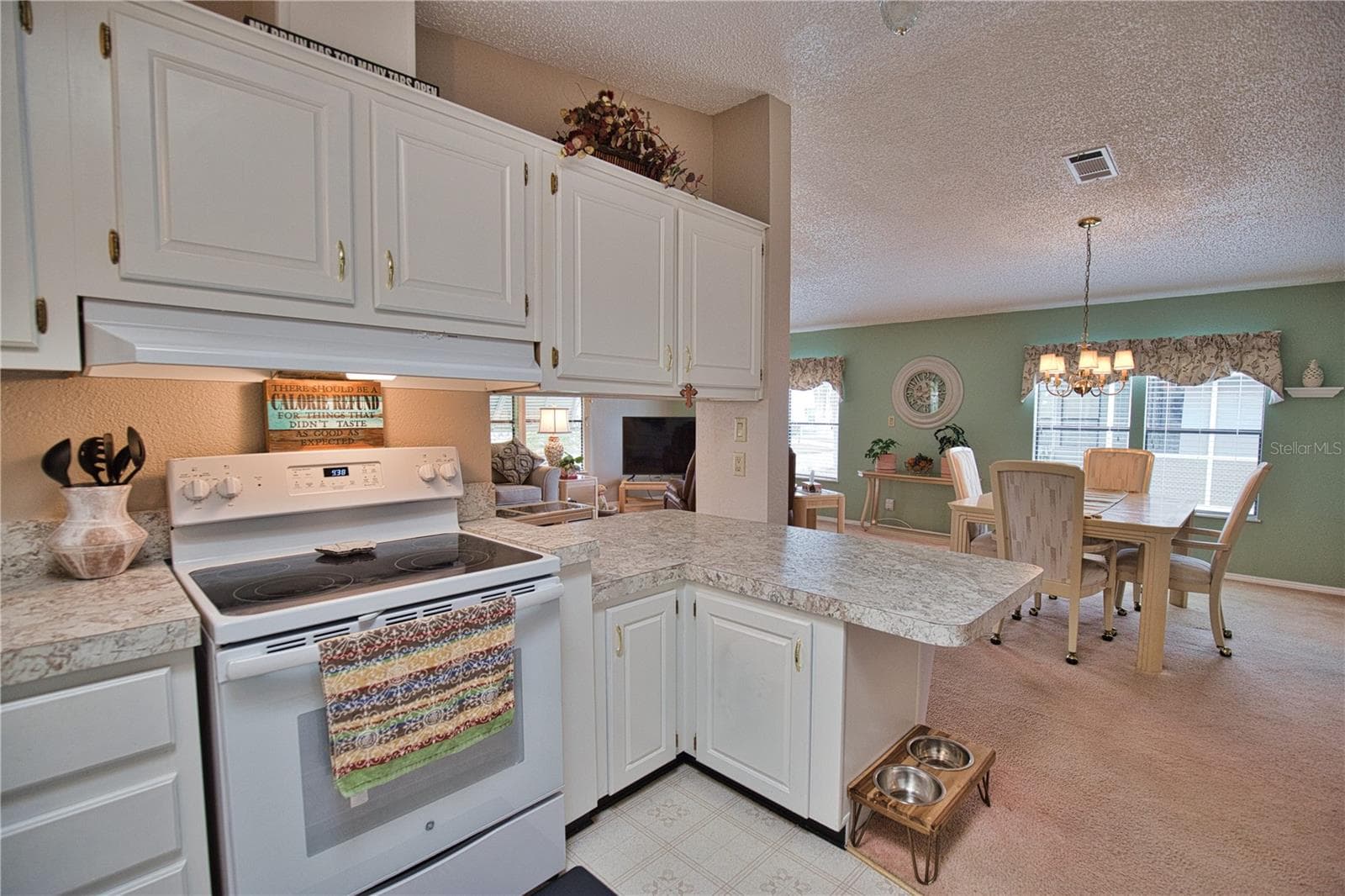 Manufactured Home at 223 HIBISCO DR, NORTH PORT, photo 6 of 36