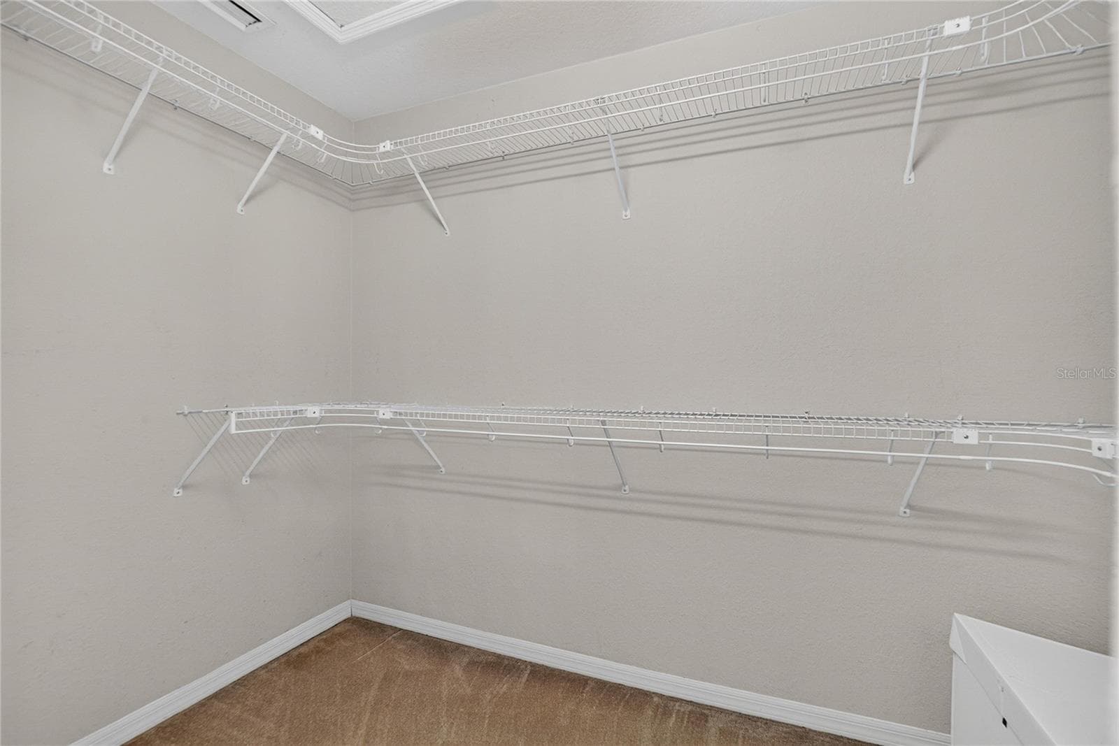 Walk in Closets - 3716 MCELVEEN AVE, PLANT CITY