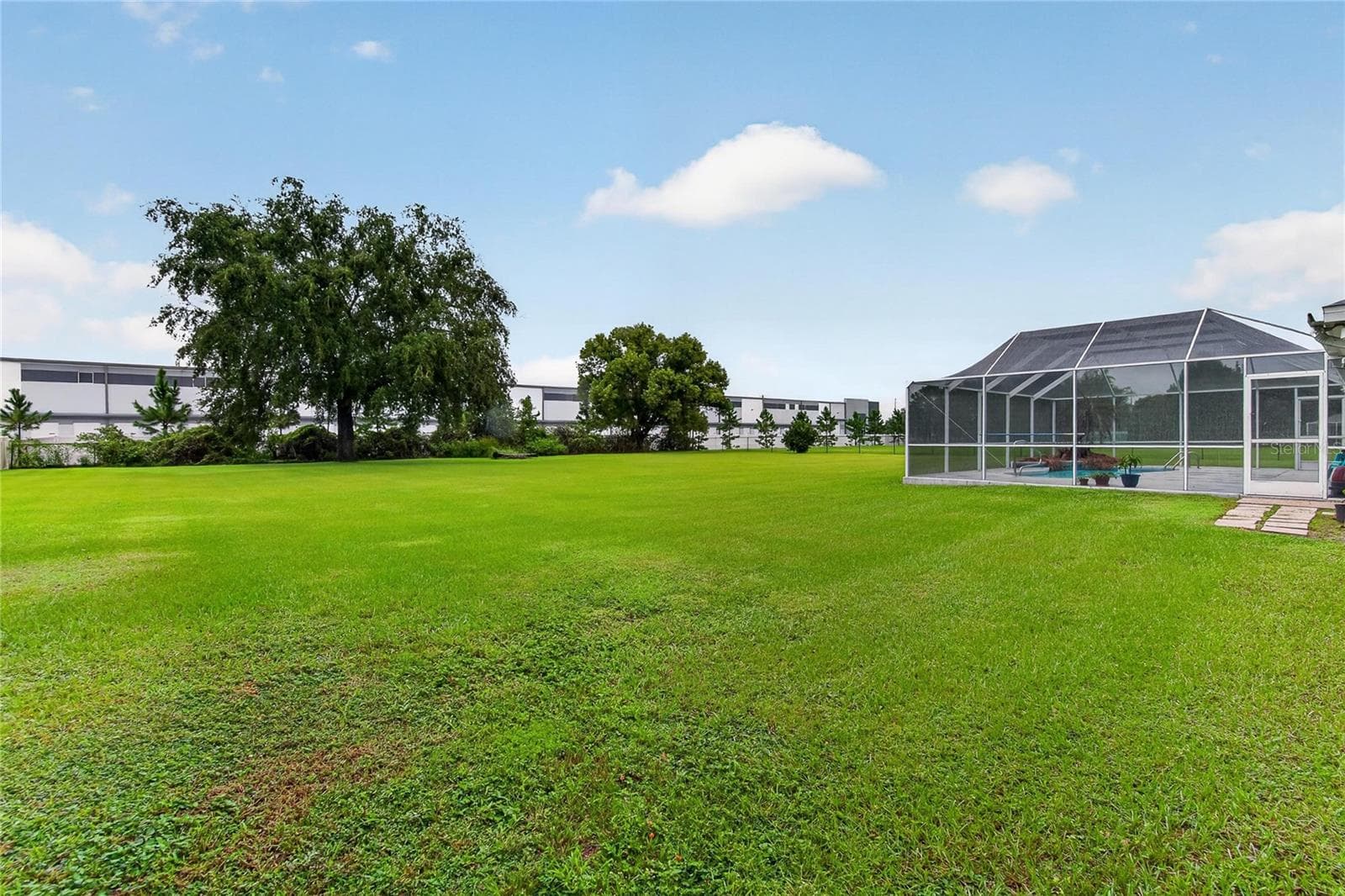 Backyard - 3716 MCELVEEN AVE, PLANT CITY