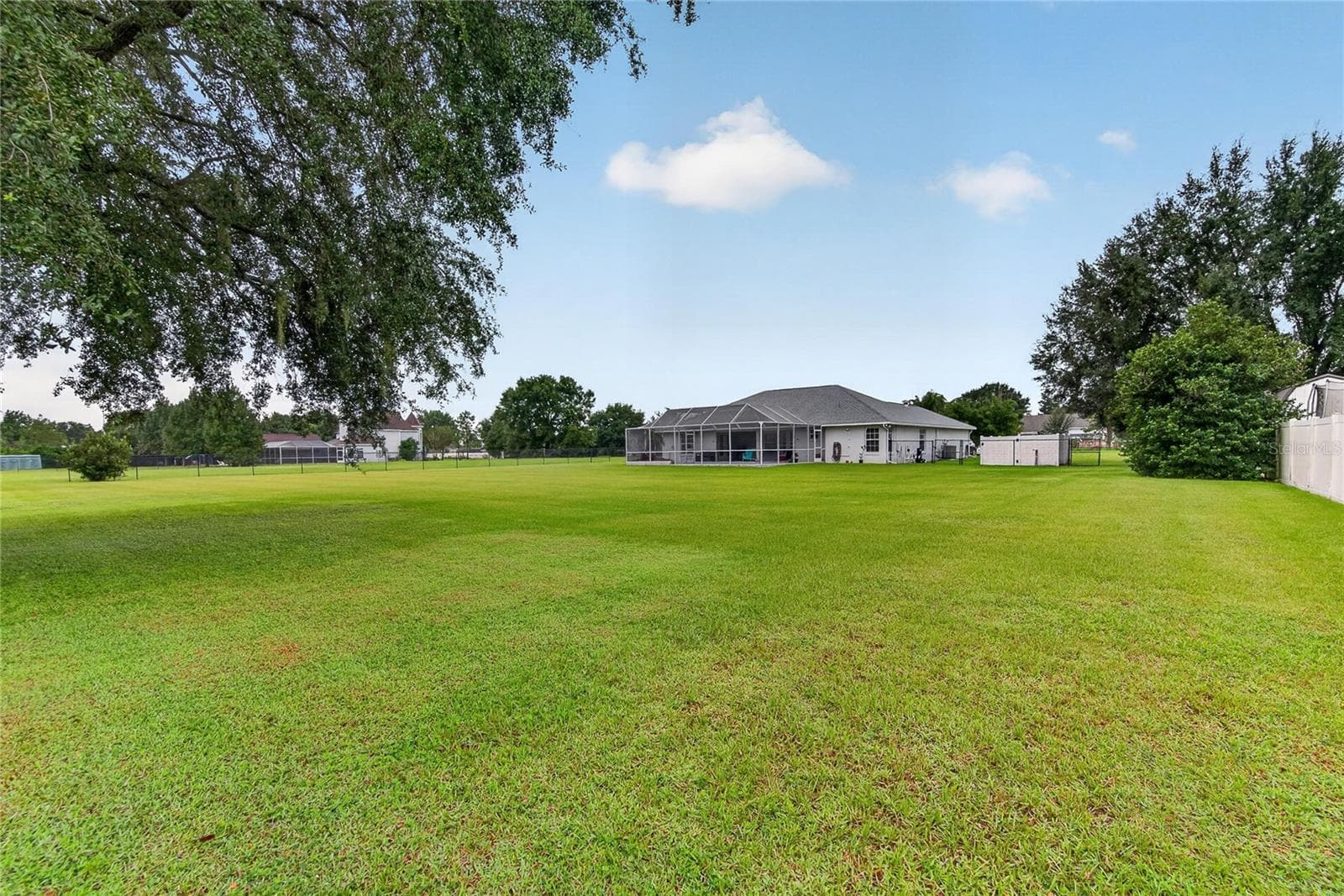 Backyard - 3716 MCELVEEN AVE, PLANT CITY