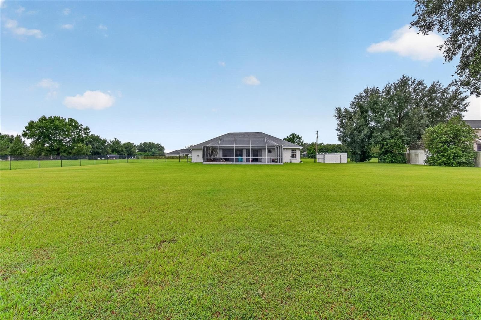 Backyard - 3716 MCELVEEN AVE, PLANT CITY