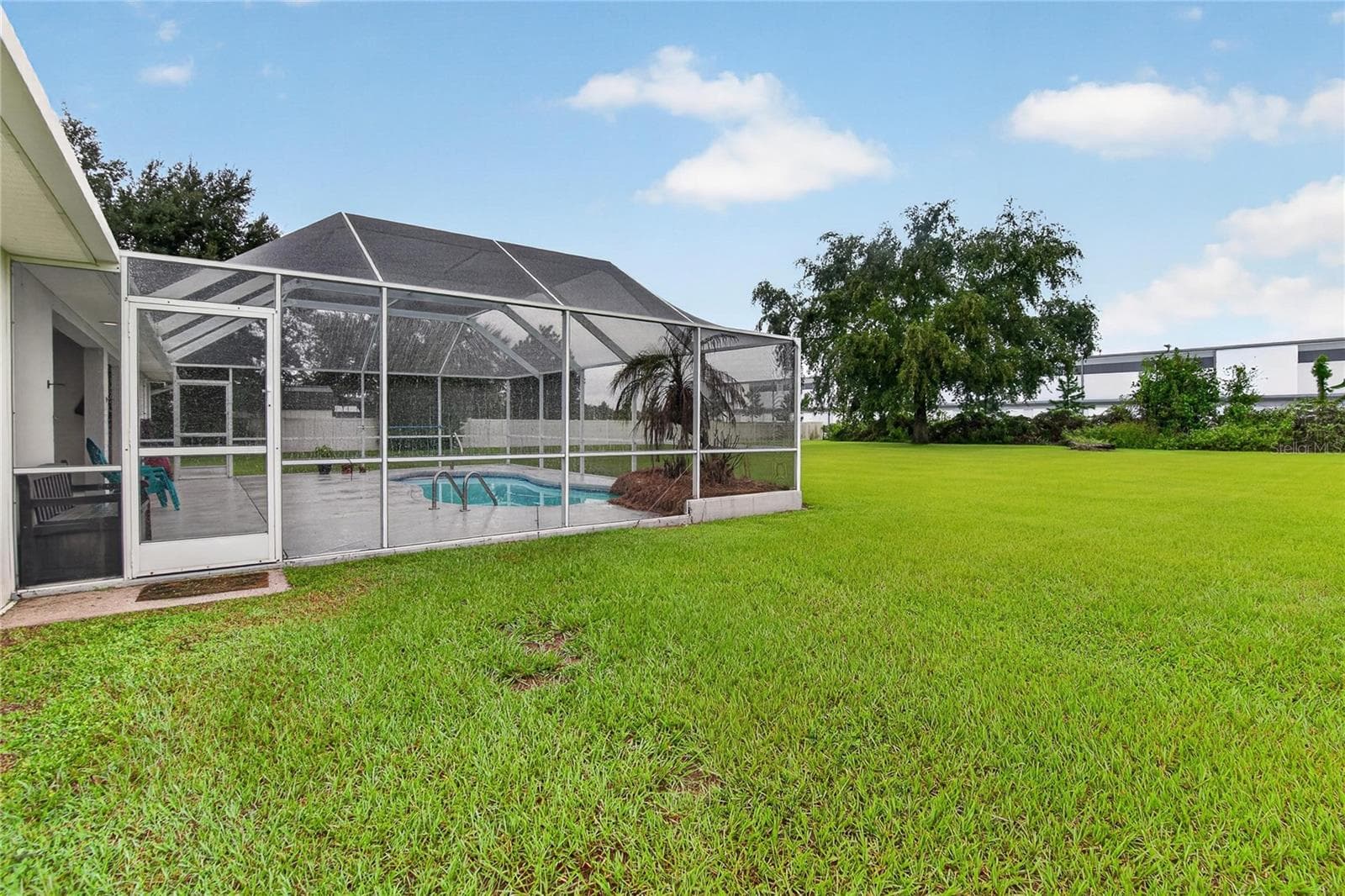 Backyard - 3716 MCELVEEN AVE, PLANT CITY