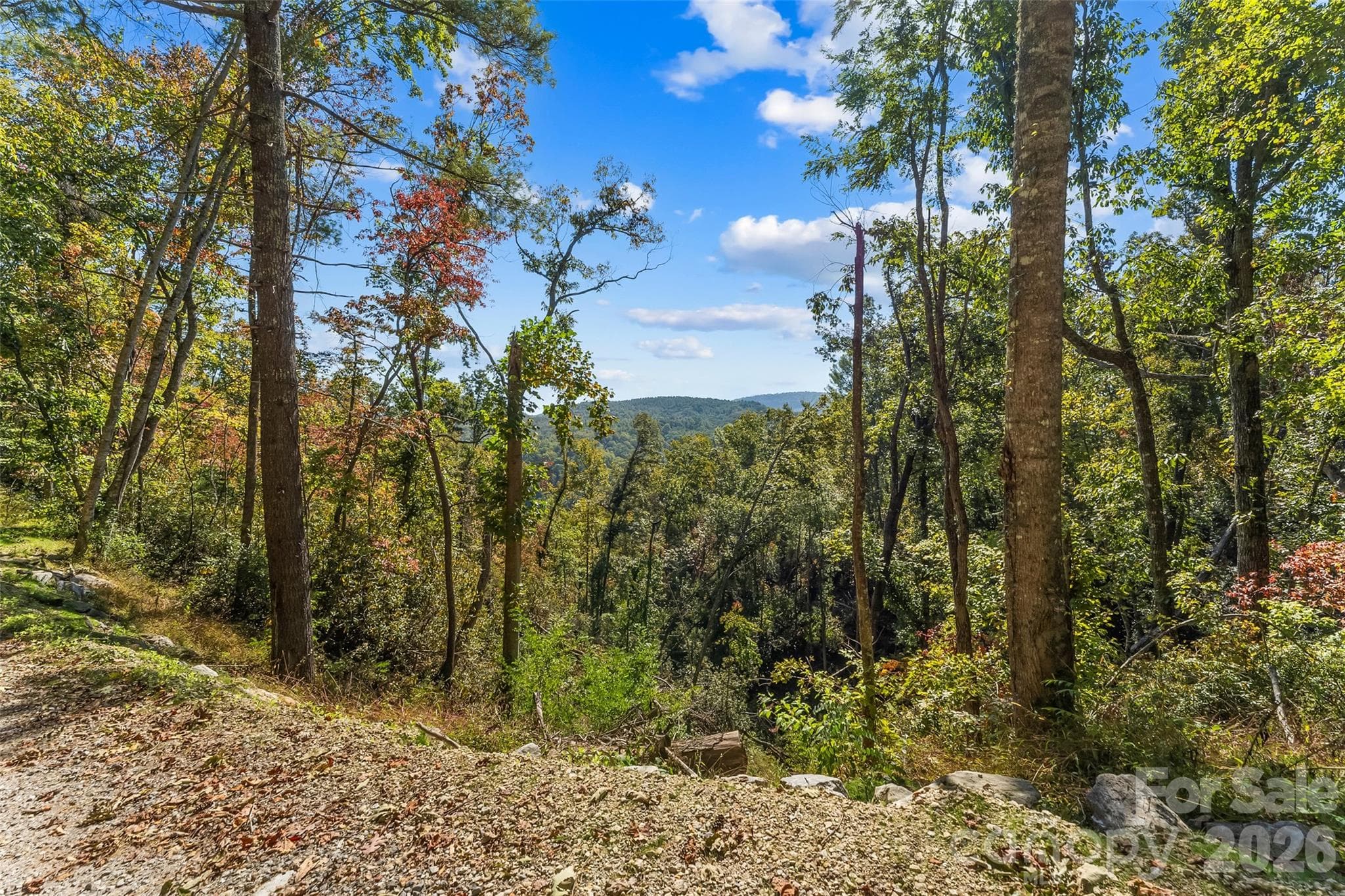 Acreage at 605 Lower Loop Drive, Fletcher, photo 13 of 14