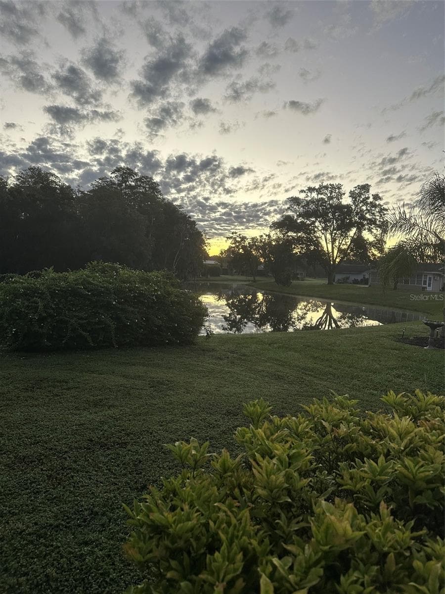 Morning view of backyard - 4642 SAINT LAWRENCE DR, NEW PORT RICHEY
