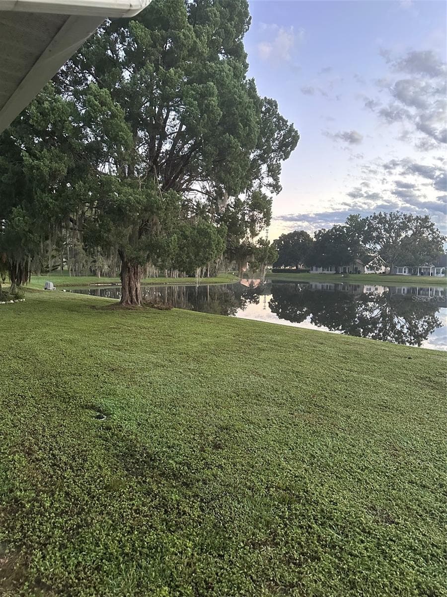 Morning view of backyard - 4642 SAINT LAWRENCE DR, NEW PORT RICHEY