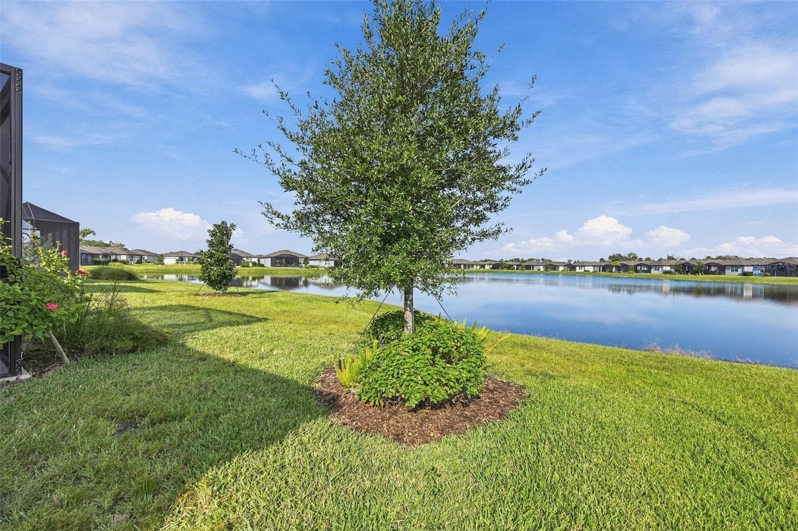 Pond views from the backyard. - 9260 BALLASTER POINTE LOOP, PARRISH