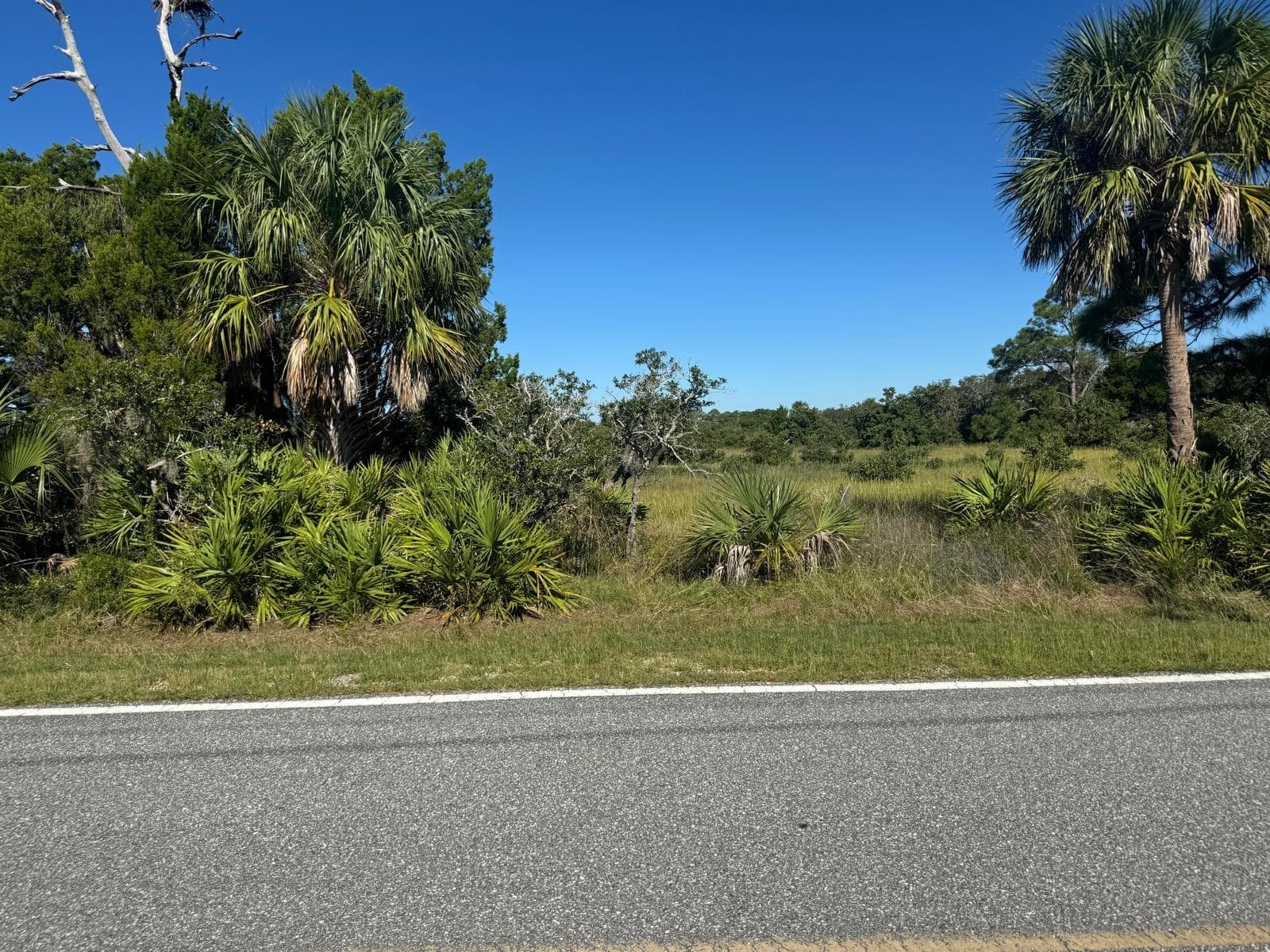 Land at SW 133RD ST, CEDAR KEY, photo 3 of 10