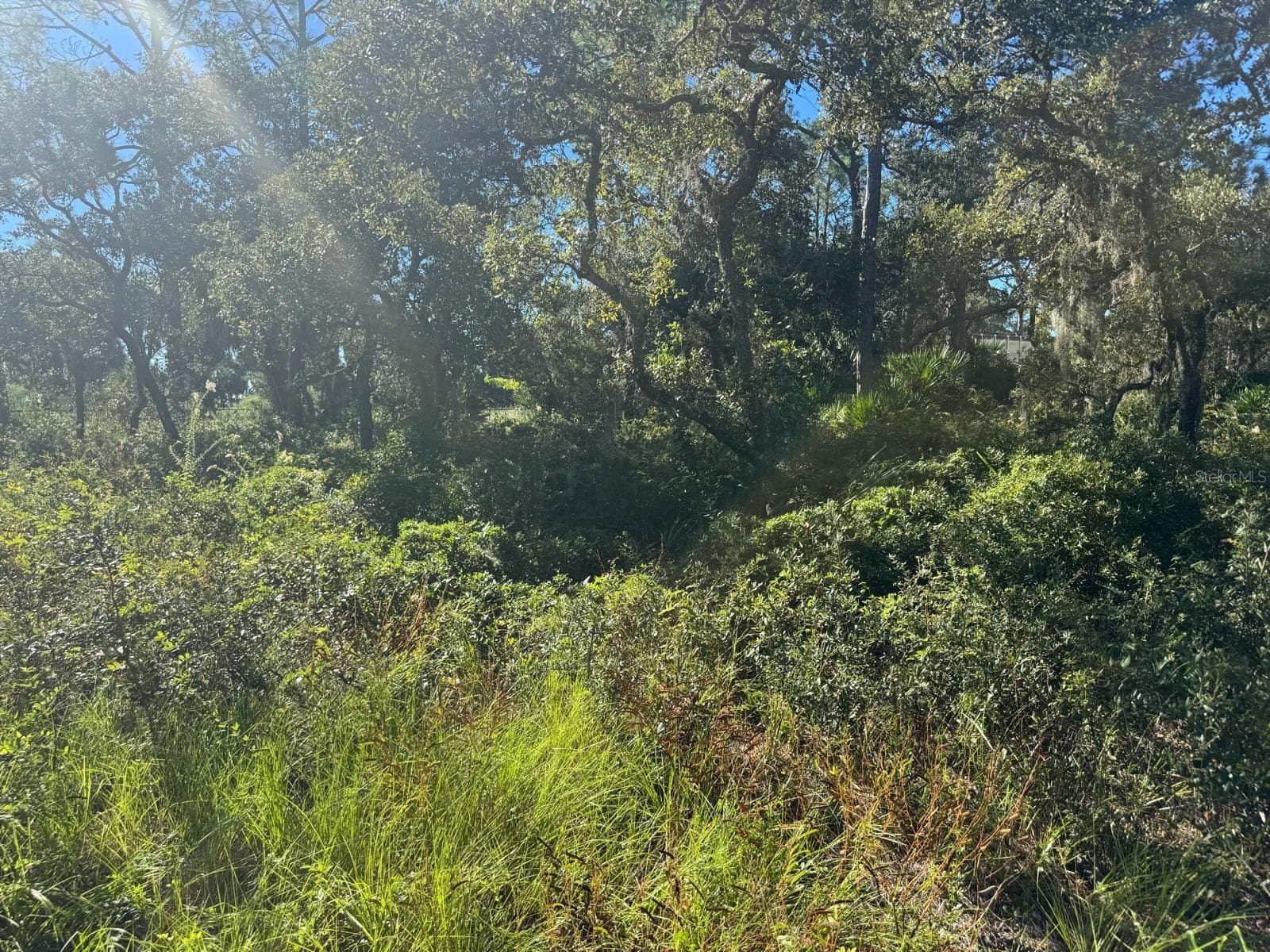 Land at SW 133RD ST, CEDAR KEY, photo 4 of 10