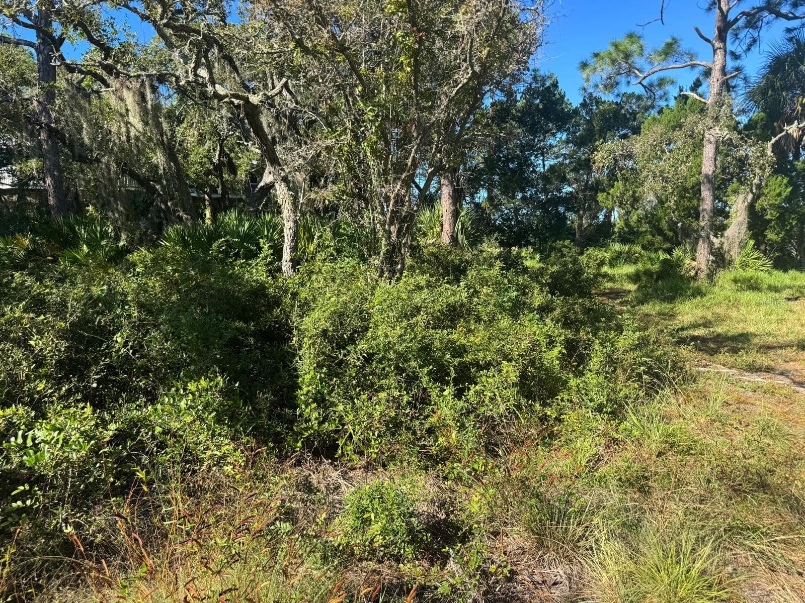 Land at SW 133RD ST, CEDAR KEY, photo 5 of 10