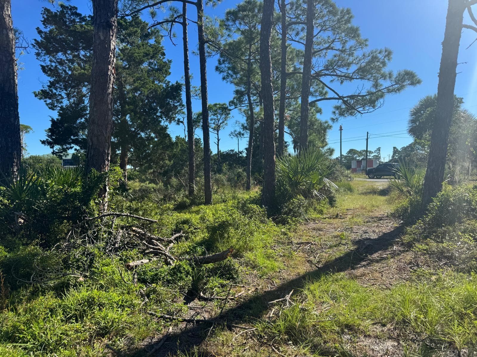 Land at SW 133RD ST, CEDAR KEY, photo 6 of 10